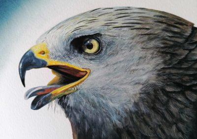 Peinture - Aigle - Milan Royal - Laurent Brun