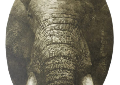 Peinture - Elephant - Blaise Prud'hon