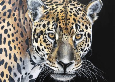 Peinture - Jaguar - Félin pour l'autre - Carole Clerc