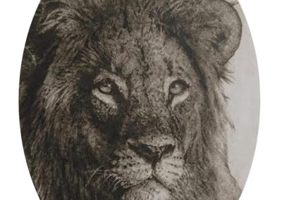 Peinture - Lion - Blaise Prud'hon