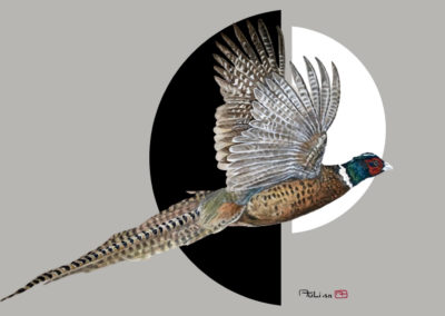 Peinture - Oiseau - Faisan - Tirli Degl Innocenti Antonia
