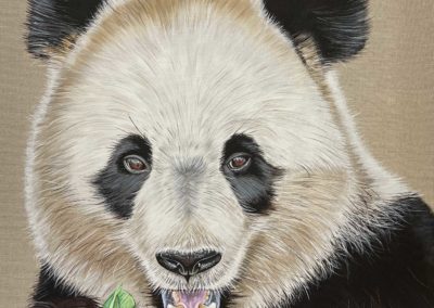 Peinture - Panda - Zen - Carole Clerc