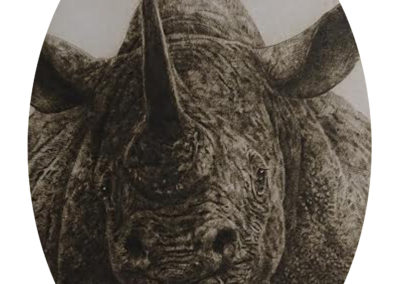 Peinture - Rhinoceros - Blaise Prud'hon