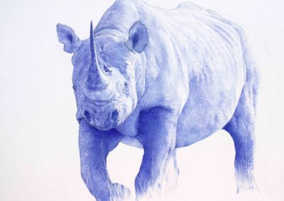 Peinture - Rhinocéros - Cuirassé - Pauline Cocordano