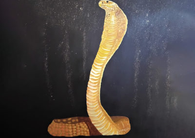 Peinture - Serpent - Savina Gilles de Pelichy - Artiste Animalier