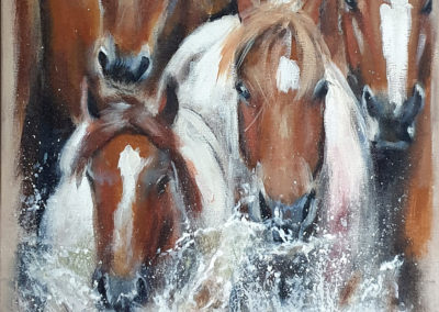 Peinture-chevaux-sauvages-a-la-riviere-Cedat-Artiste-Animalier