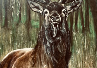 Peinture - Cerf - Pascale Catoire
