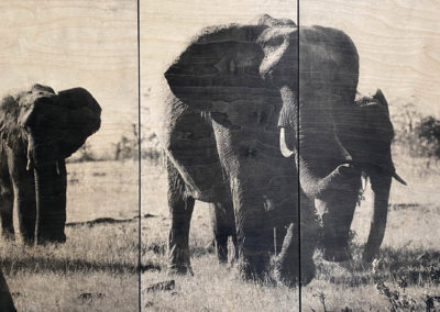 Impression sur bois - Elephants - Masai Mara Family - Gabriel Beghi