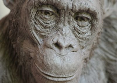 Sculpture - Bonobos 3 - Laurence Magnier