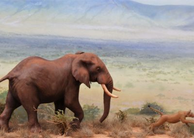 Sculpture - Elephant 2 - Jean-Jacques Delorme