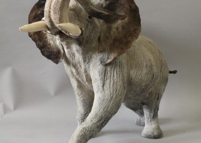 Sculpture - Elephant - Force Tranquille 1 - Anne de Sauveboeuf