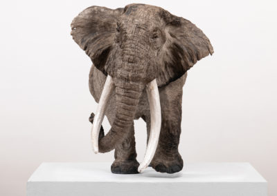 Sculpture-Elephant-LE-GRAND-MALE-Boucard-Artiste-Animalier