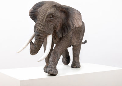 Sculpture - Elephant - Tembo Raku - Tania Boucard - Artiste Animalier