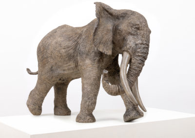 Sculpture - Elephant - Tembo bronze - Tania Boucard - Artiste Animalier