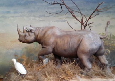 Sculpture - Rhinocéros - Jean-Jacques Delorme