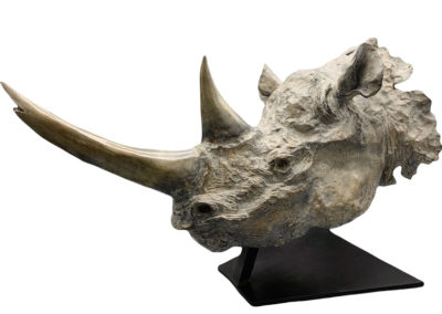 Sculpture - Rhinoceros - Sophie Gerault