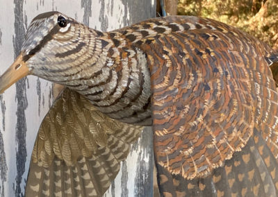 Sculpture-Volatile-Becasse-Oiseau-Belmas-Artiste-Animalier.