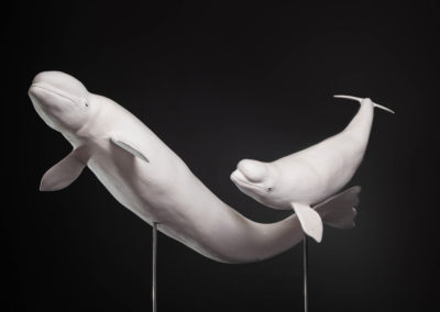 Sculpture - Duo Belugas - Yvelin Laurent