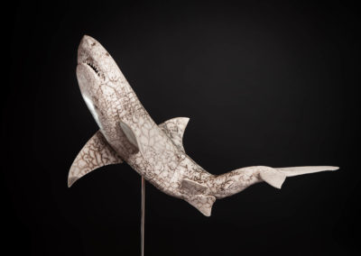Sculpture - Requin blanc - Yvelin Laurent