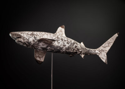 Sculpture - Requin pointes noires - Yvelin Laurent