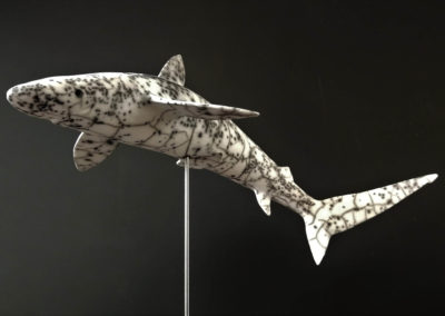 Sculpture - Requin Soyeux - Yvelin Laurent