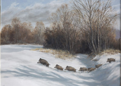 Peinture_Animal_Sangliers dans la neige_FREMINET_Arnaud_Artiste_Animalier_Contemporain
