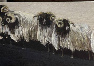 Peinture_Mouton4_Pascale_Catoire_Artiste_Animalier