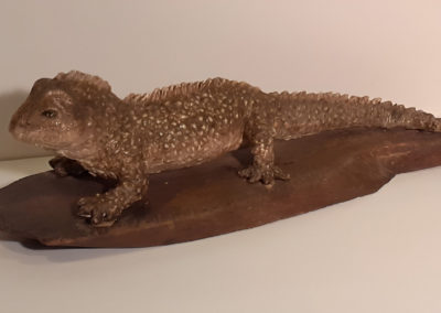 Thibault-Boorsch-Fabienne-Le-Tuatara-1._Artiste_Animalier_Contemporainjpg